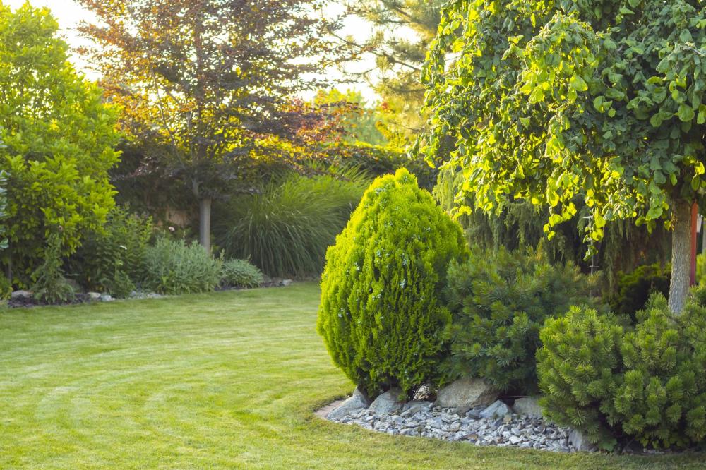 Création de jardin à Saint-Avé 